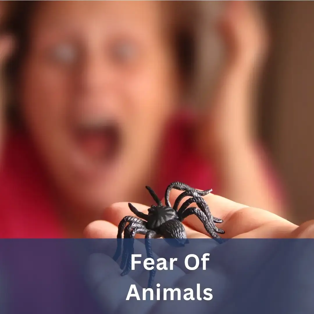 Fear of Animals